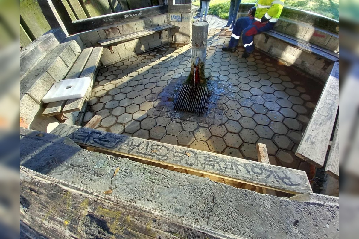 FOTO: Čistenie Medokýšu na Rudlovskej ceste, foto 3