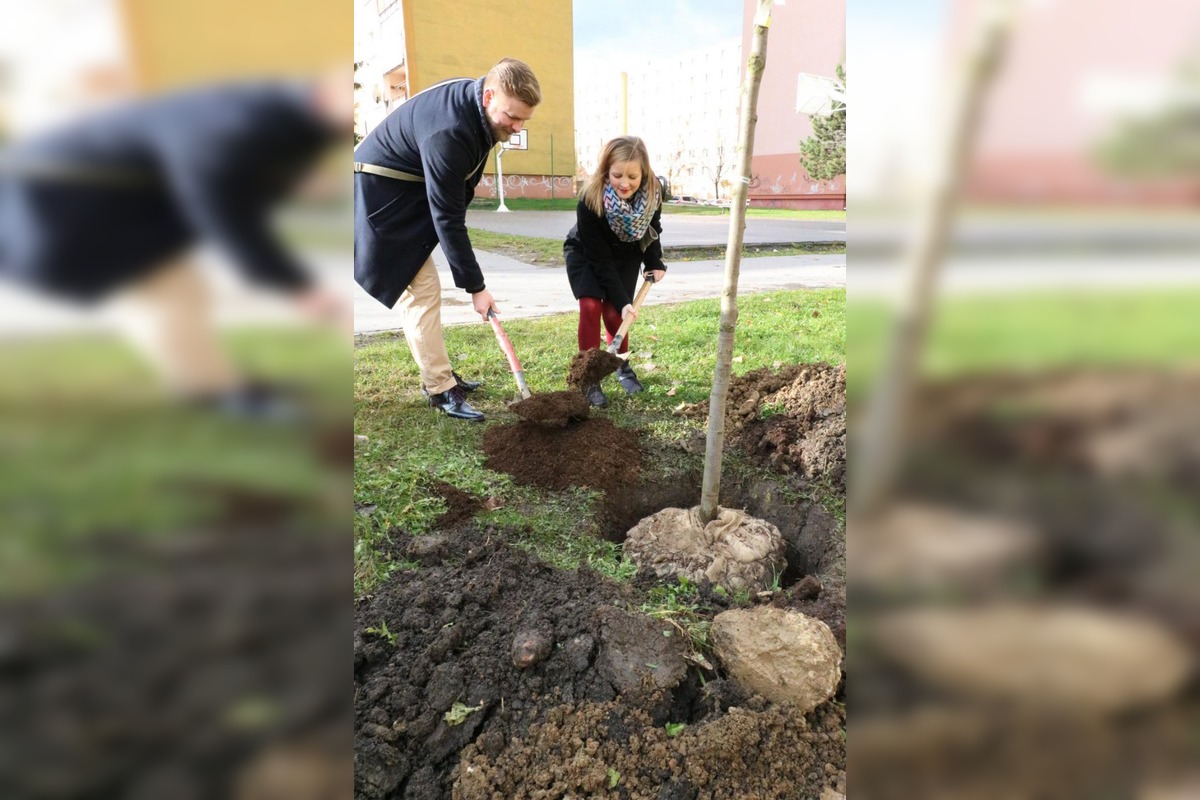 FOTO: Objavil sa návrh na nový park, foto 2