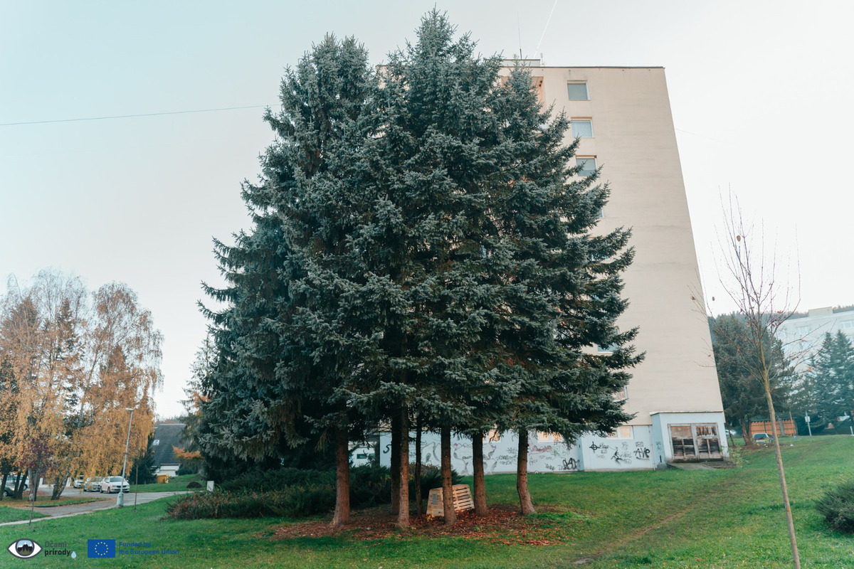 FOTO: Vo Zvolene umiestnili prvých päť zimovísk pre ježkov a drobné živočíchy , foto 9