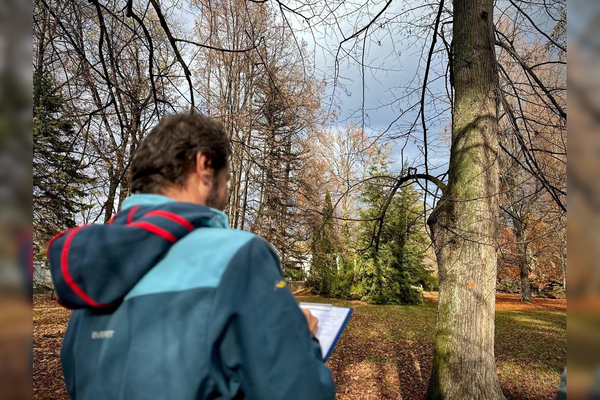 FOTO: Park na Tajovského ulici preverujú arboristi a vedci, foto 1