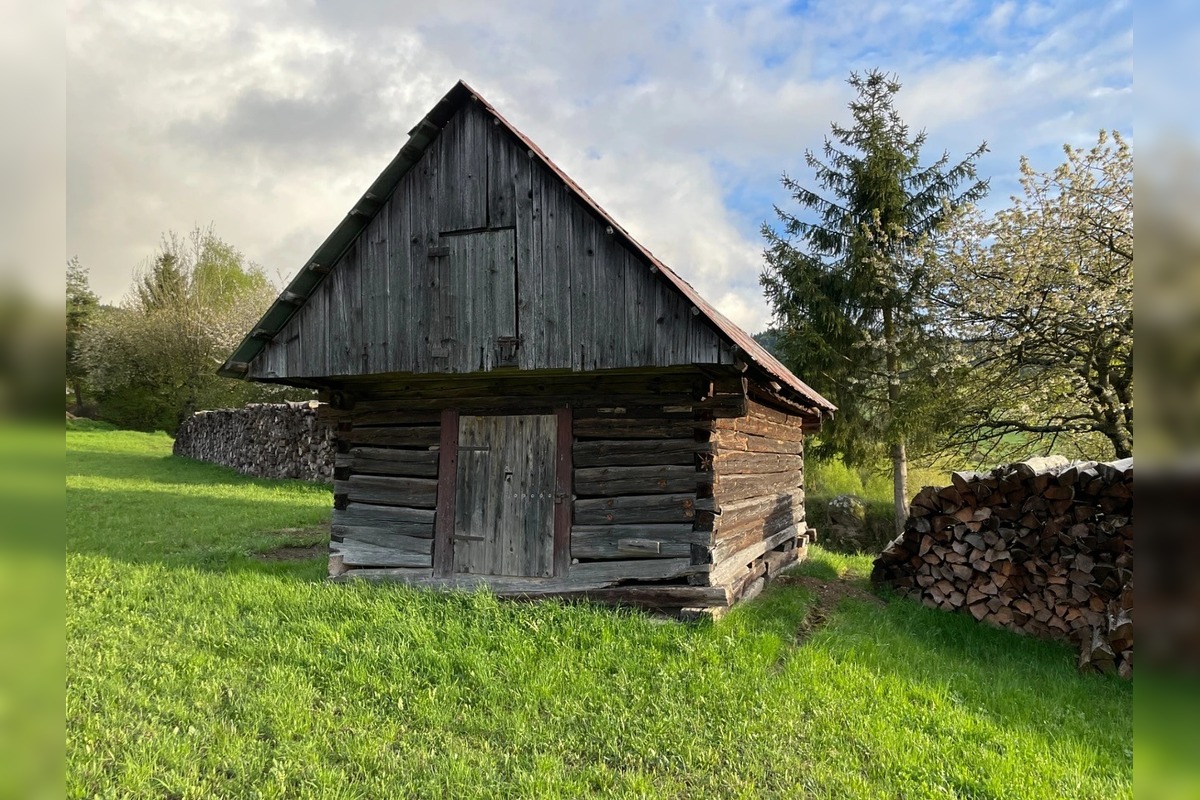 FOTO: Vizualizácia Kolibosauny na Podpoľaní, foto 3