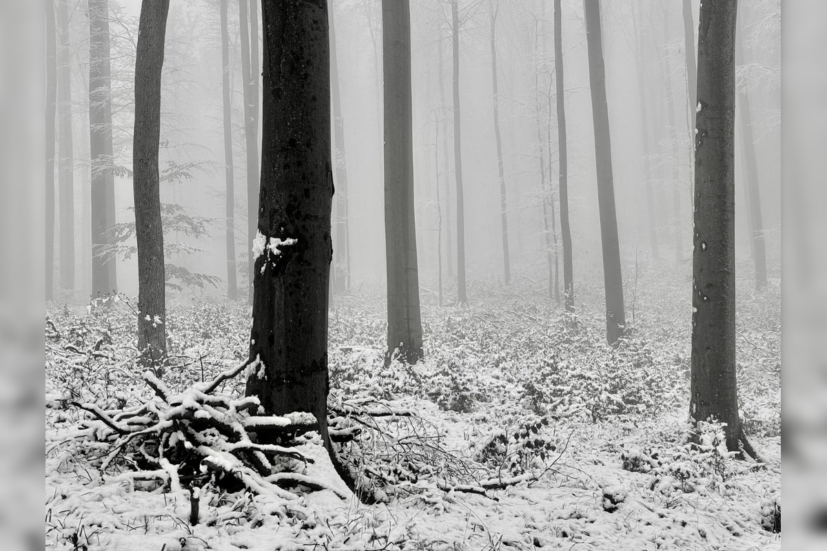 FOTO: Zimná rozprávka v Banskobystrickom kraji, foto 1