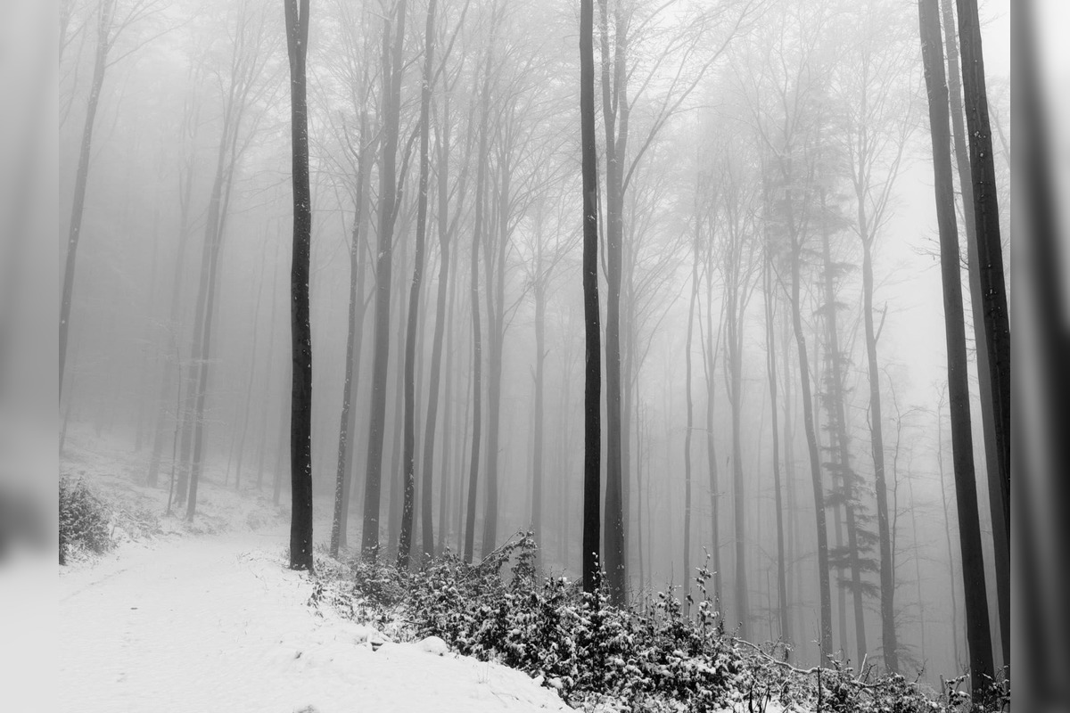 FOTO: Zimná rozprávka v Banskobystrickom kraji, foto 6