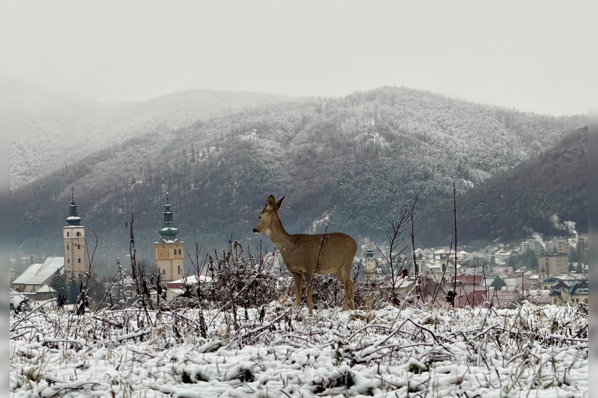 FOTO: Zimná rozprávka v Banskobystrickom kraji, foto 2