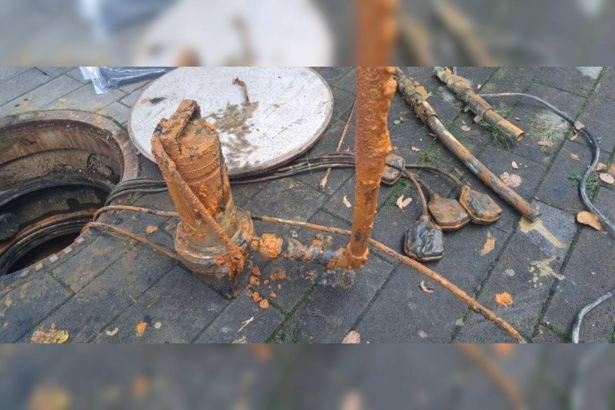 FOTO: Zvolenské medokýše sú pod drobnohľadom, foto 1