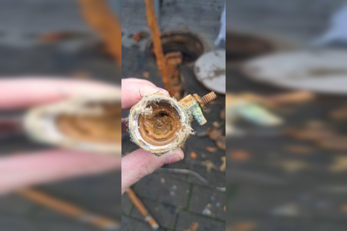 FOTO: Zvolenské medokýše sú pod drobnohľadom, foto 3