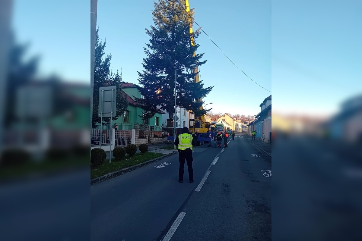 FOTO: Na Námestie SNP v Banskej Bystrici doviezli vianočný stromček, foto 6