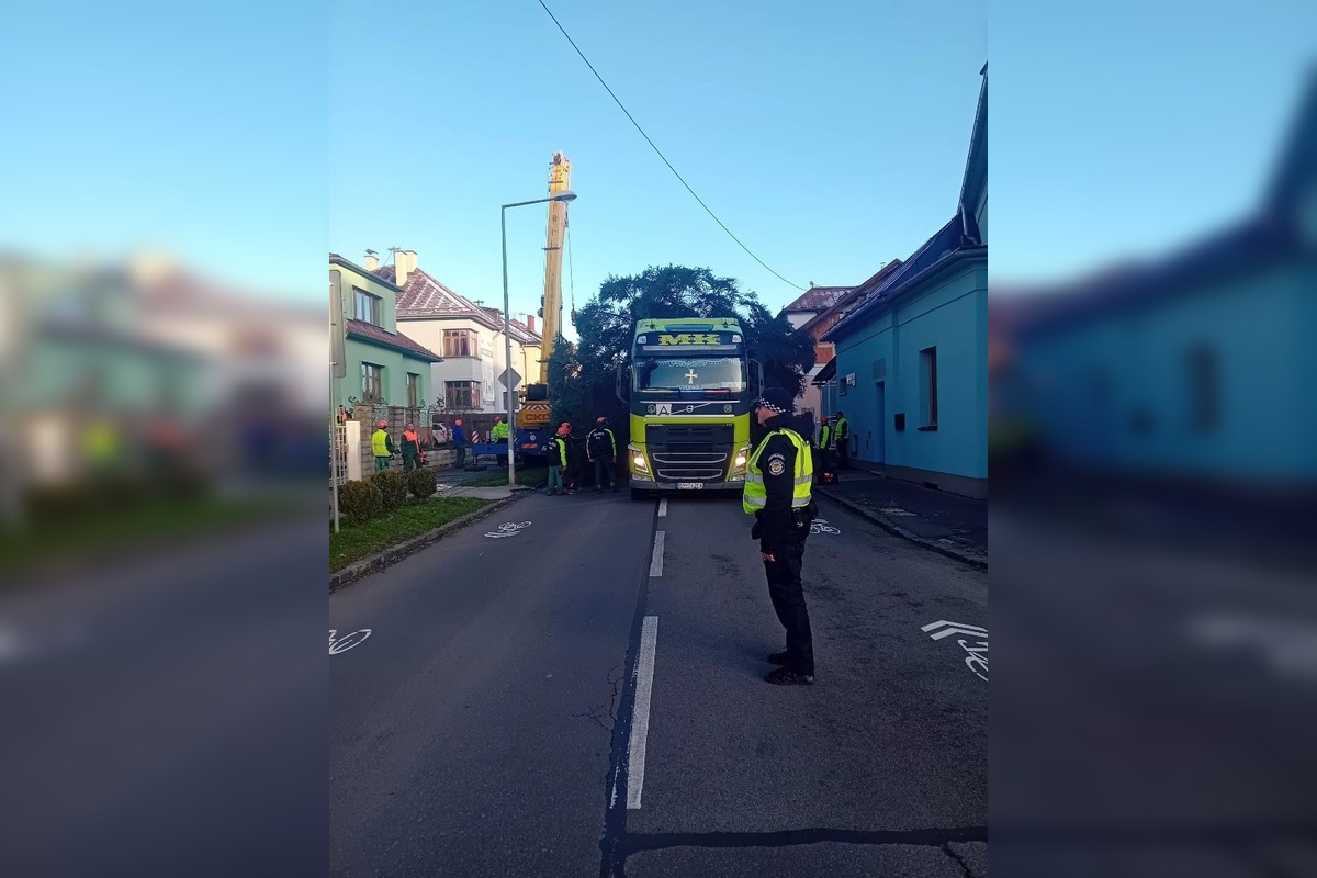 FOTO: Na Námestie SNP v Banskej Bystrici doviezli vianočný stromček, foto 7