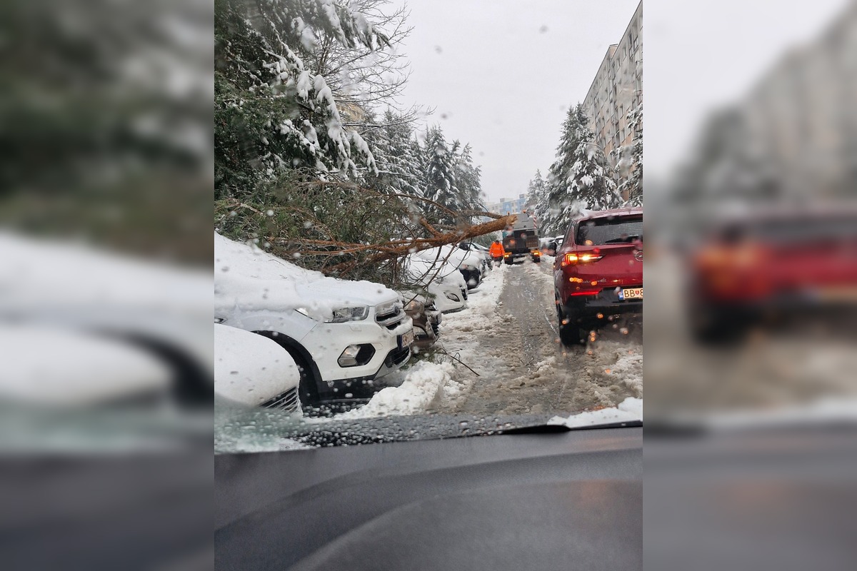 FOTO: Spadnuté stromy blokujú ulice v Banskej Bystrici, foto 1