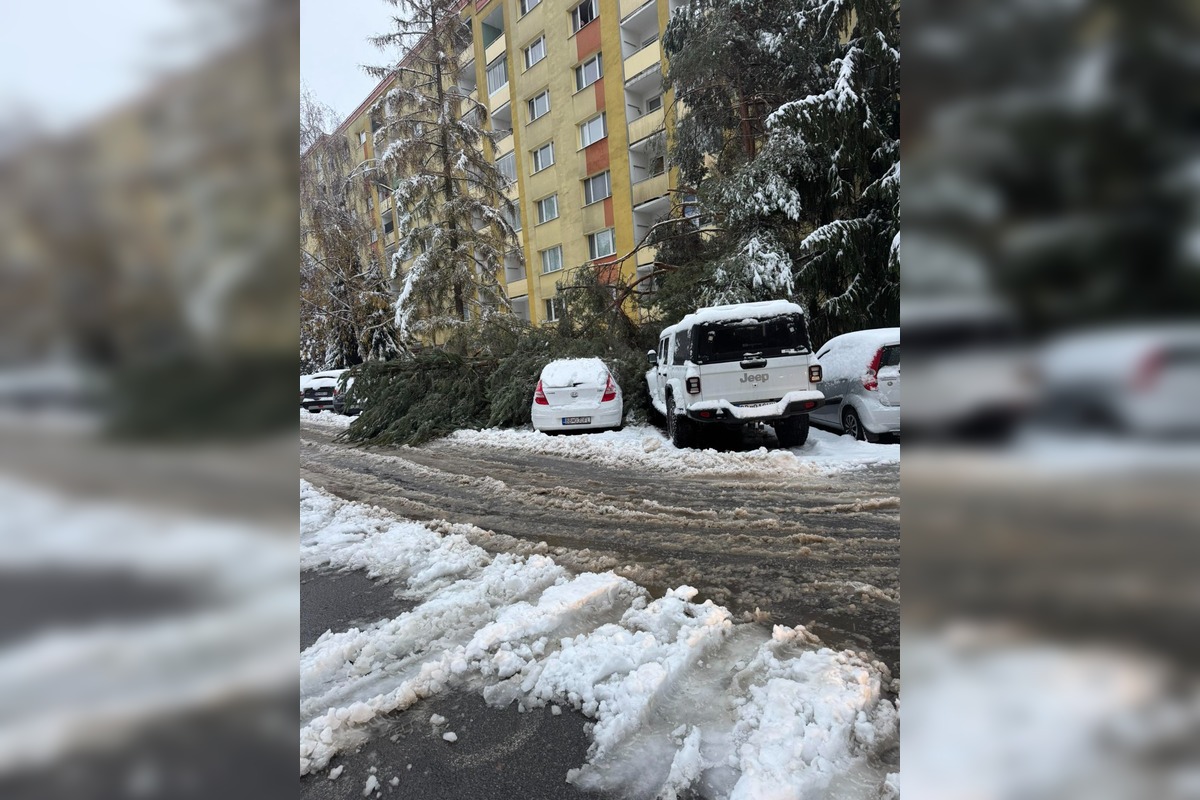 FOTO: Spadnuté stromy blokujú ulice v Banskej Bystrici, foto 2