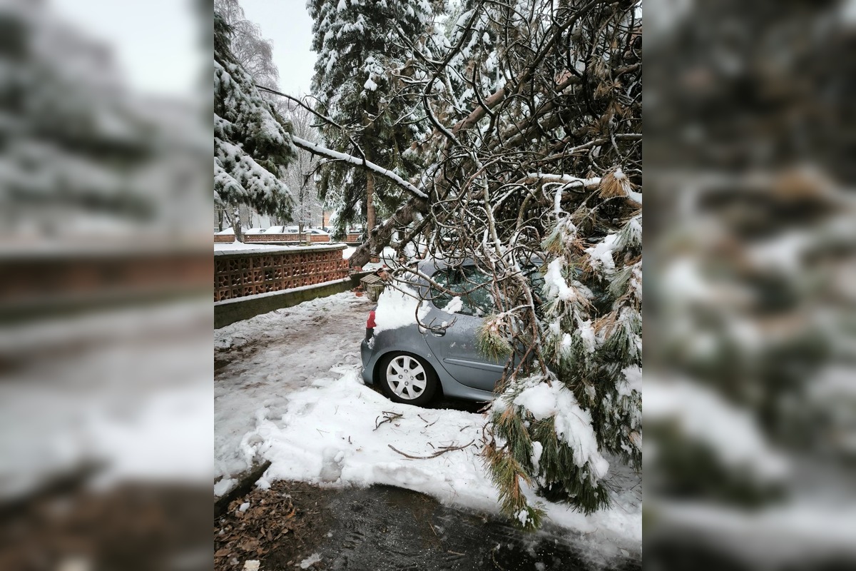 FOTO: Spadnuté stromy blokujú ulice v Banskej Bystrici, foto 3
