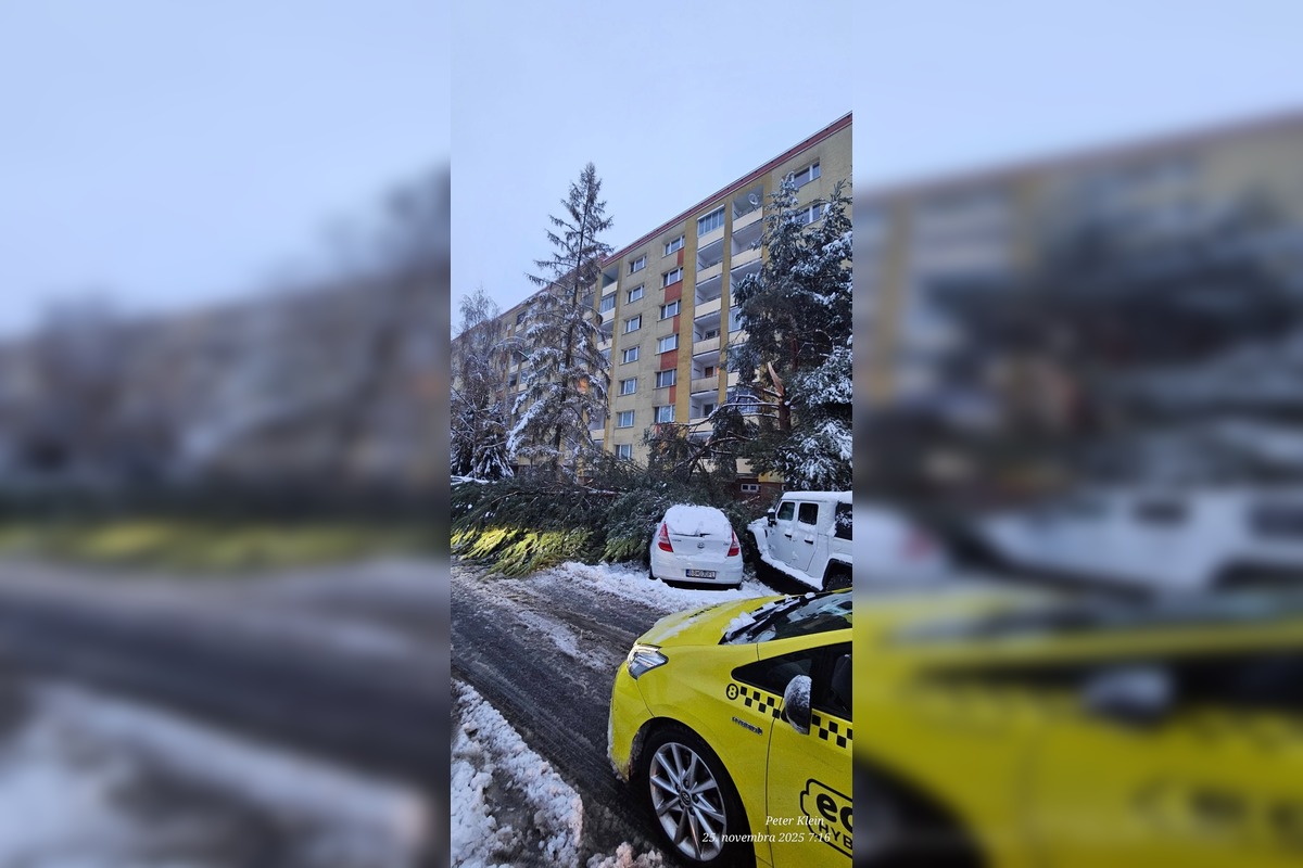 FOTO: Spadnuté stromy blokujú ulice v Banskej Bystrici, foto 4