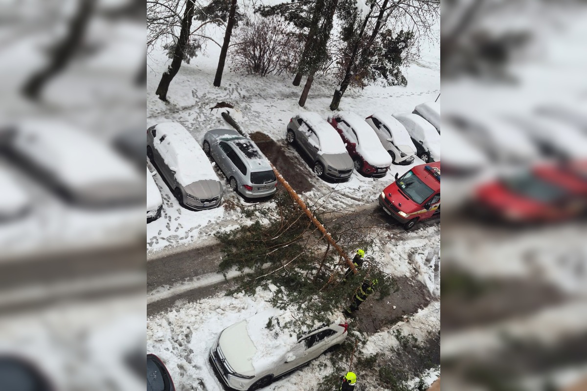 FOTO: Spadnuté stromy blokujú ulice v Banskej Bystrici, foto 5