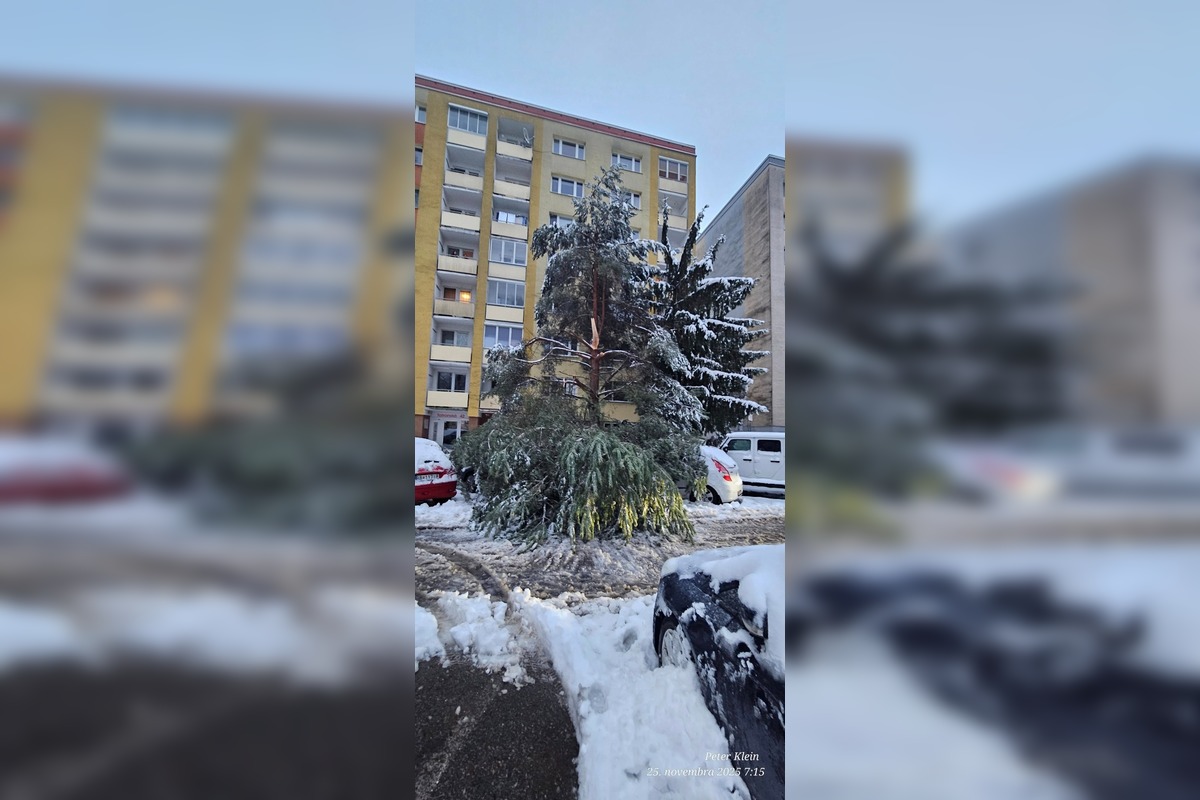 FOTO: Spadnuté stromy blokujú ulice v Banskej Bystrici, foto 6