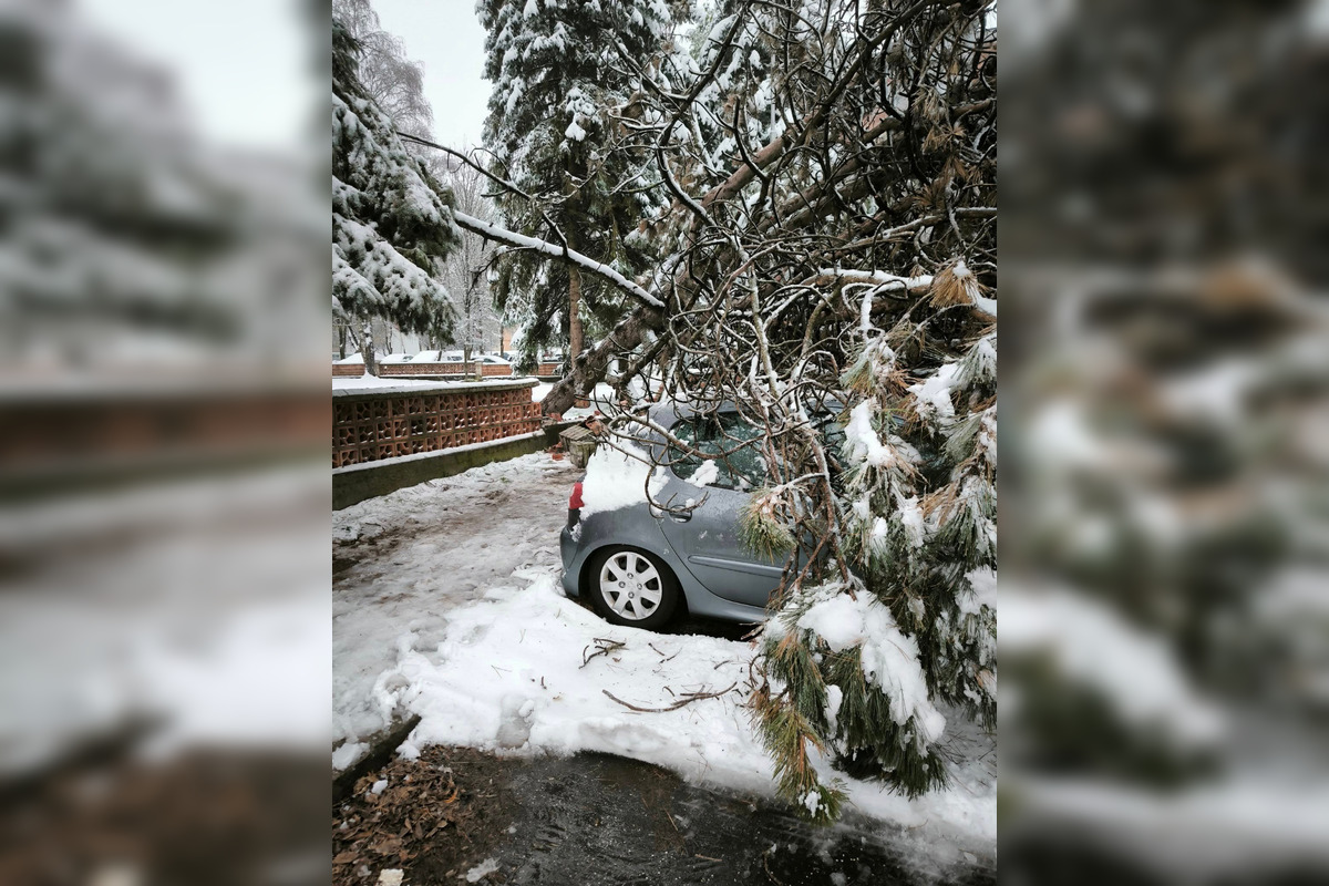 FOTO: V Banskej Bystrici popadali stromy na autá, foto 2