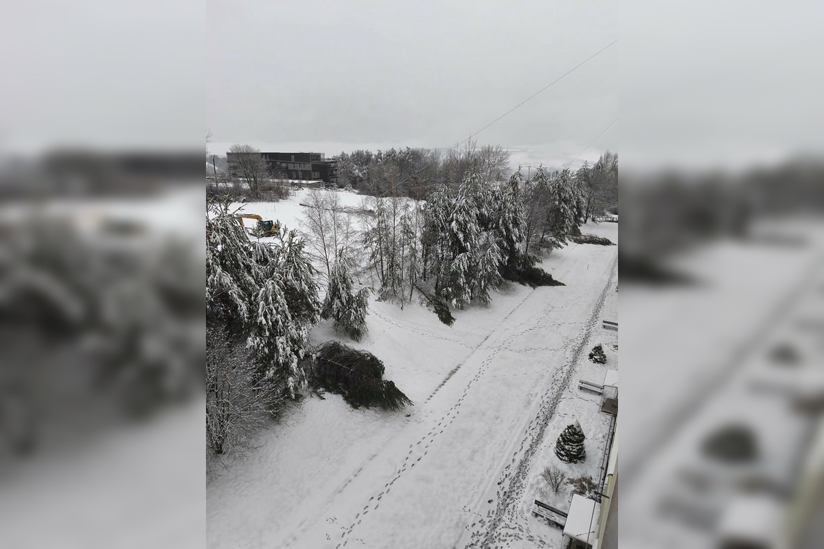 FOTO: Snehová kalamita v Banskej Bystrici, foto 3