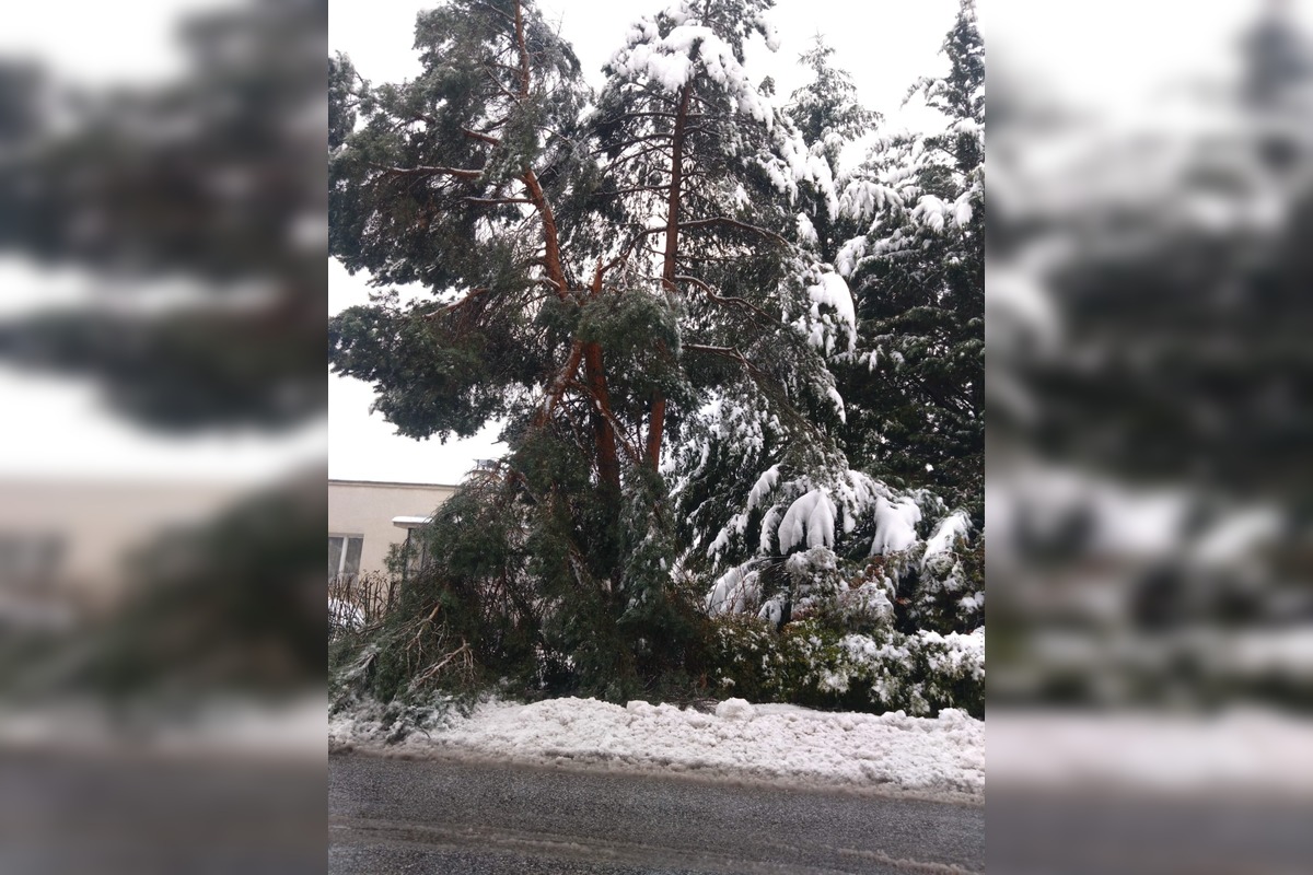 FOTO: Snehová kalamita v Banskej Bystrici, foto 4