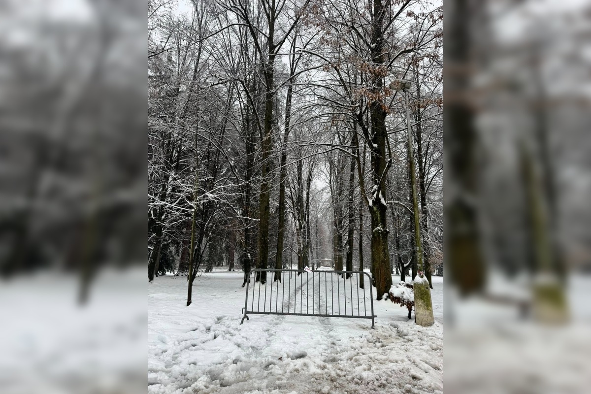 FOTO: Snehová kalamita v Banskej Bystrici, foto 5