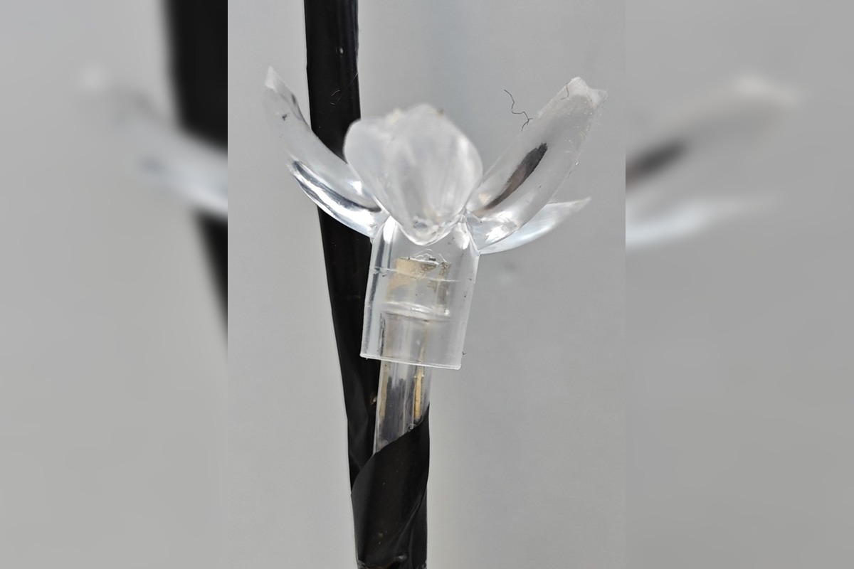 FOTO: Nebezpečné svetielka na trhu. SOI varuje: prestaňte ich používať, foto 3