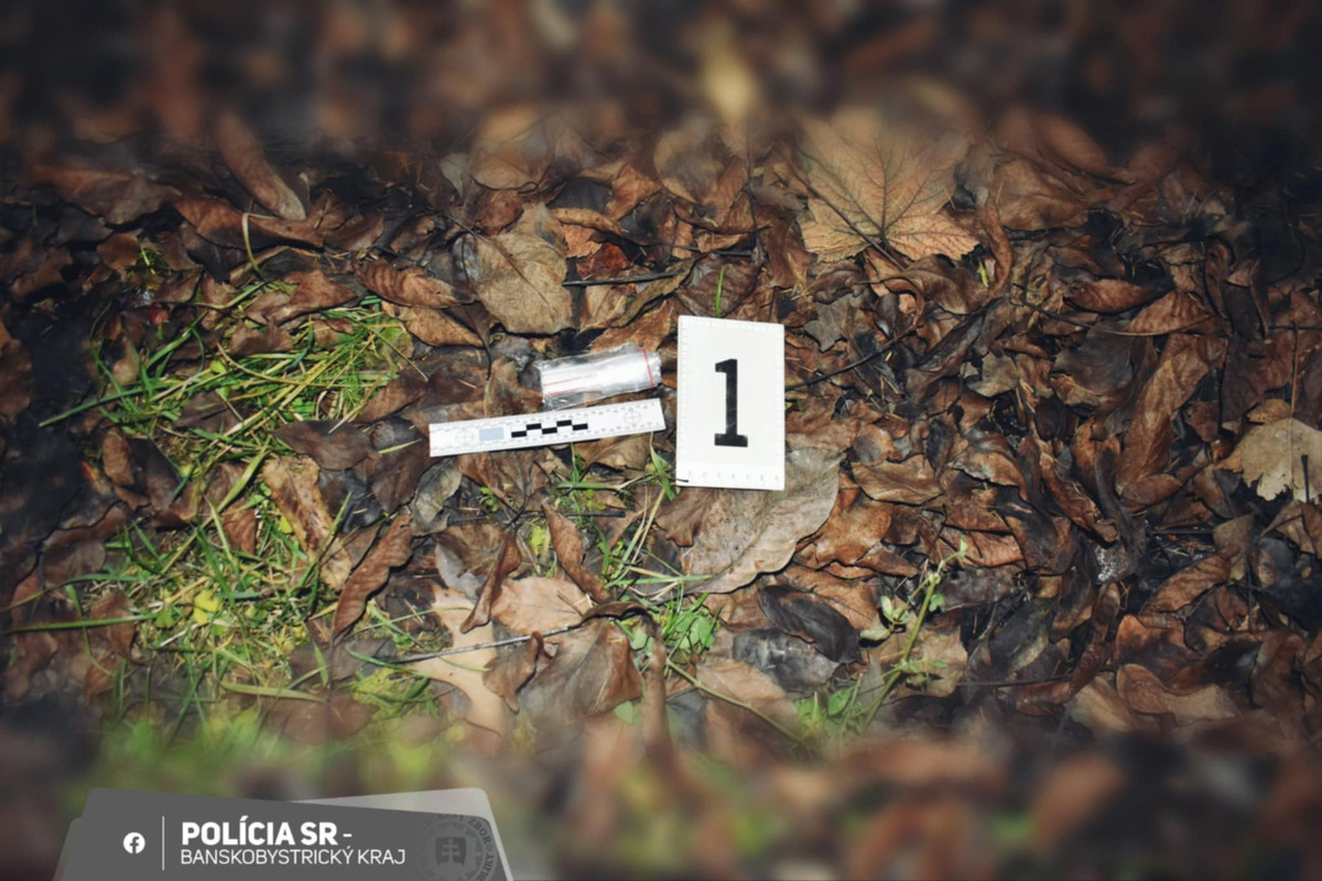 FOTO: Muž šoféroval v Lučenci bez vodičáku, policajti u neho našli aj vrecúška s bielou kryštalickou látkou, foto 6