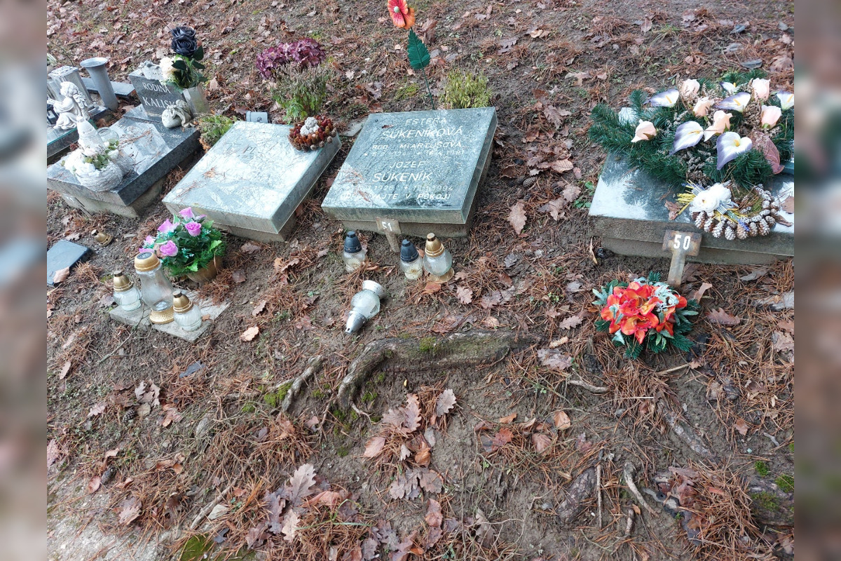 FOTO: Bystričanom sa nepáči, v akom stave je urnový háj či cintorín v Kremničke, , foto 1