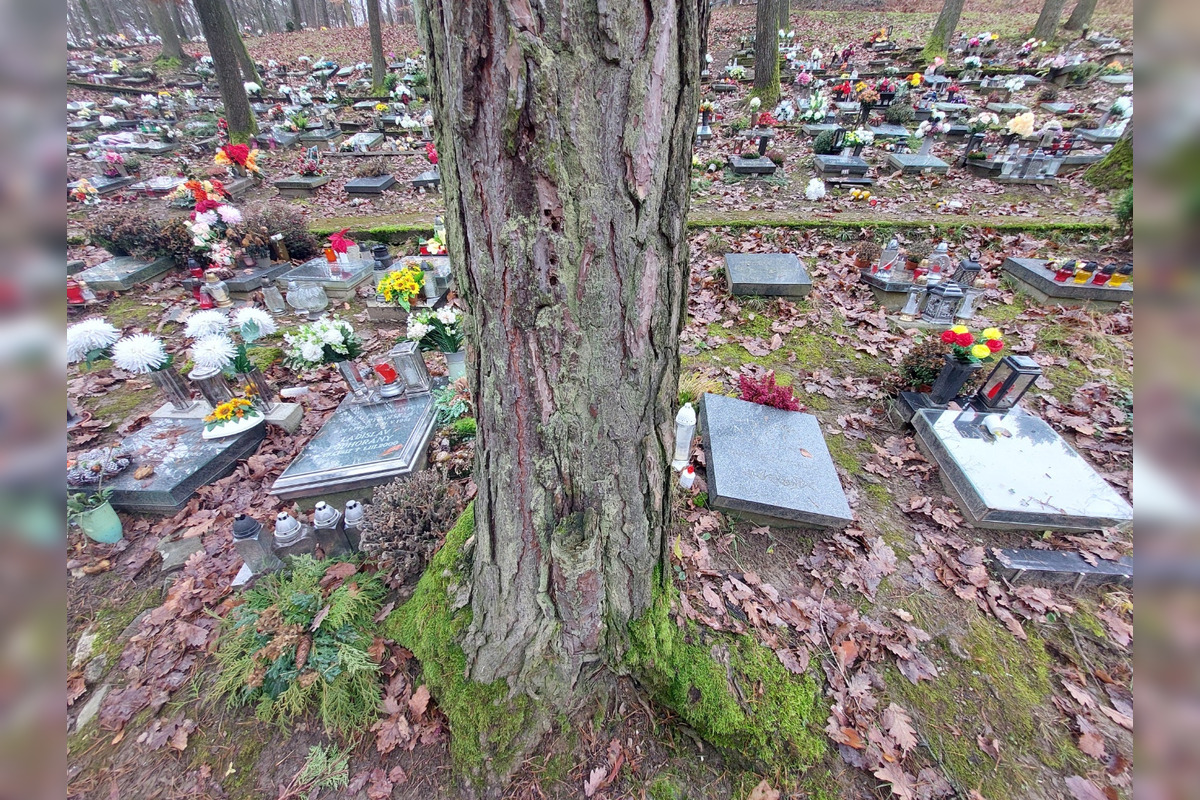 FOTO: Bystričanom sa nepáči, v akom stave je urnový háj či cintorín v Kremničke, , foto 2