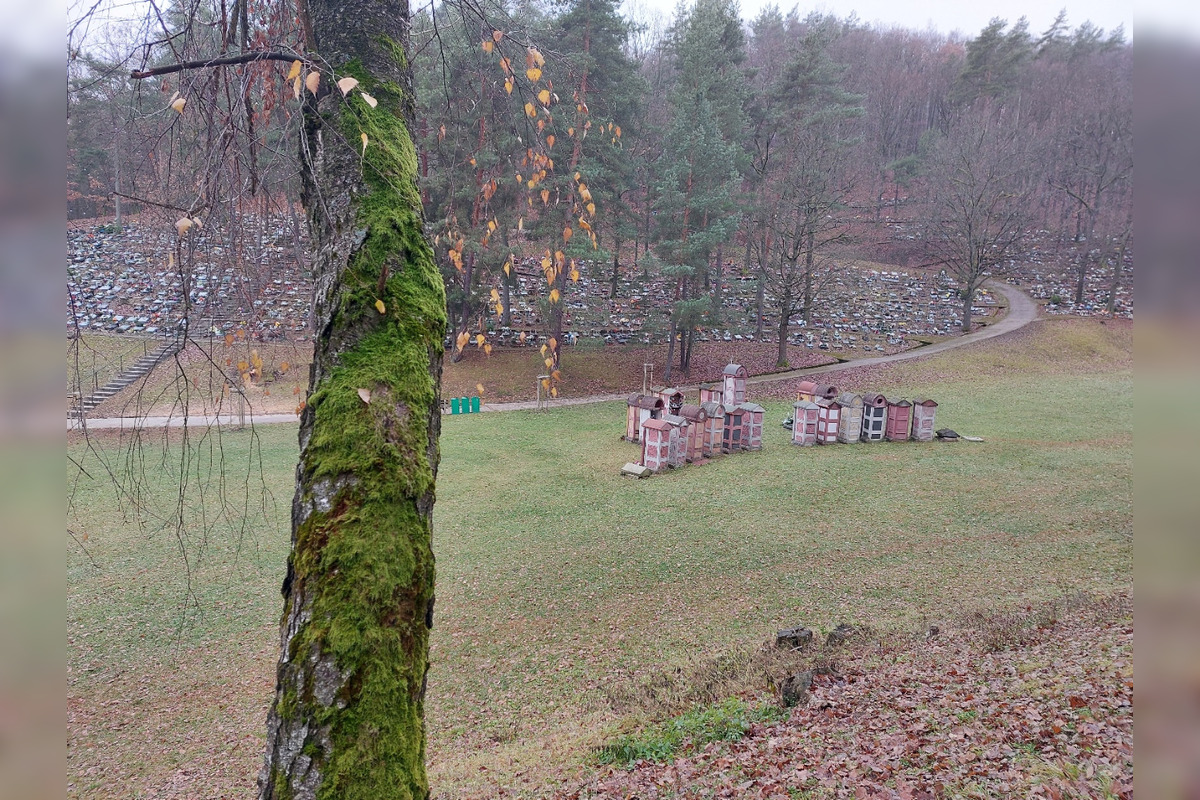 FOTO: Bystričanom sa nepáči, v akom stave je urnový háj či cintorín v Kremničke, , foto 14
