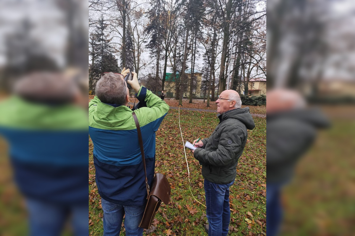 FOTO: Budú rúbať stromy v parku v Bystrici? Mesto zverejnilo nezávislý posudok, foto 1