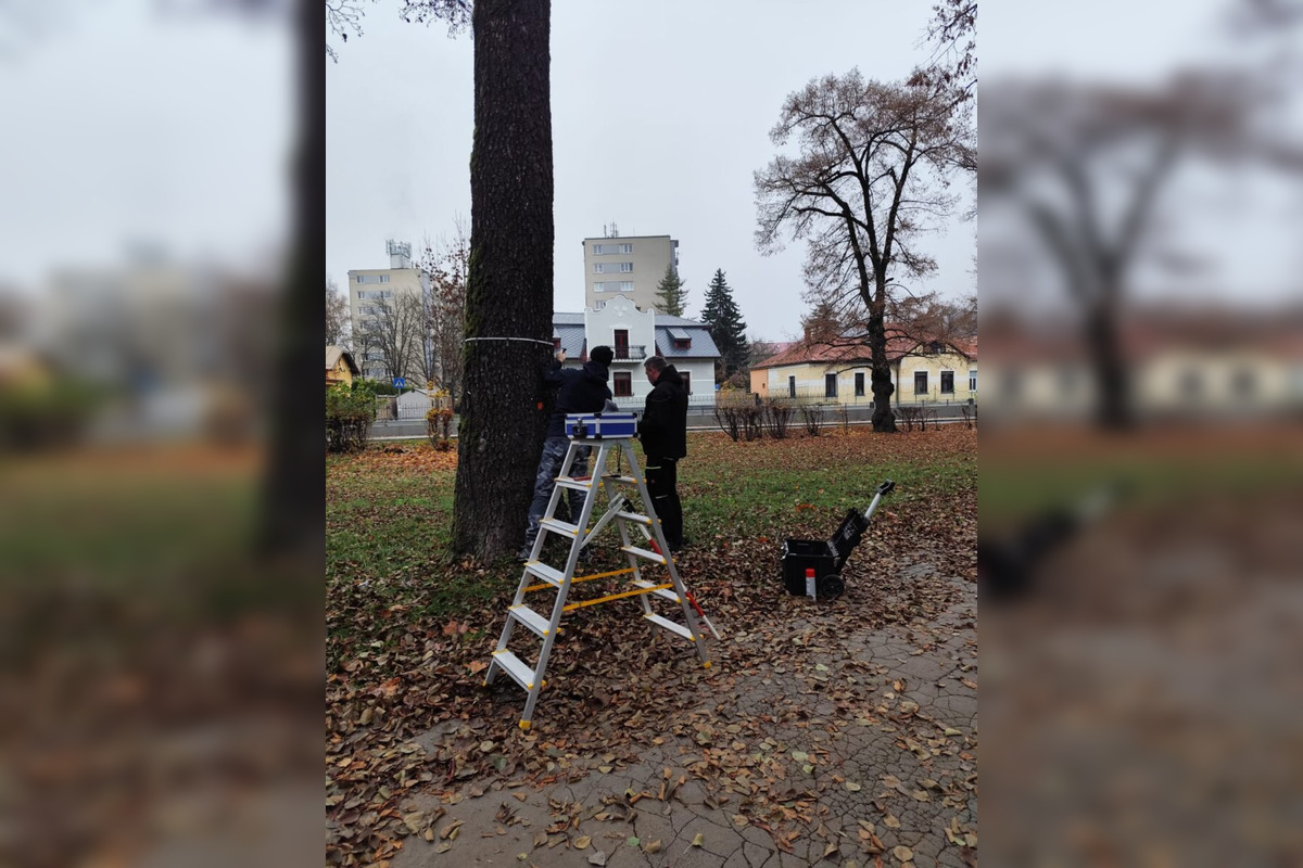FOTO: Budú rúbať stromy v parku v Bystrici? Mesto zverejnilo nezávislý posudok, foto 2