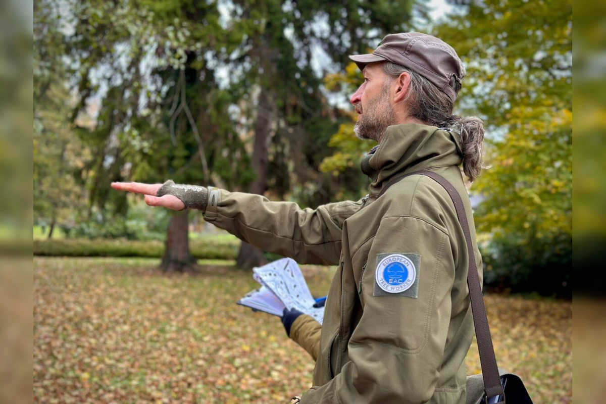FOTO: Budú rúbať stromy v parku v Bystrici? Mesto zverejnilo nezávislý posudok, foto 4