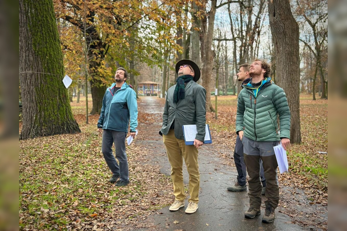 FOTO: Budú rúbať stromy v parku v Bystrici? Mesto zverejnilo nezávislý posudok, foto 5