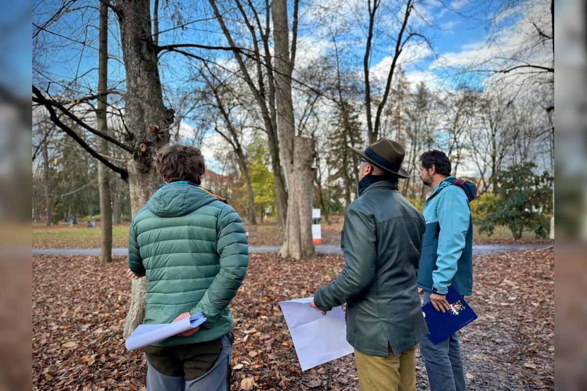 FOTO: Budú rúbať stromy v parku v Bystrici? Mesto zverejnilo nezávislý posudok, foto 7