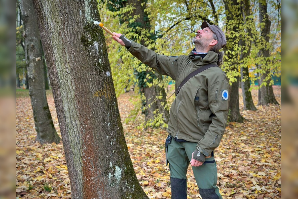 FOTO: Budú rúbať stromy v parku v Bystrici? Mesto zverejnilo nezávislý posudok, foto 12