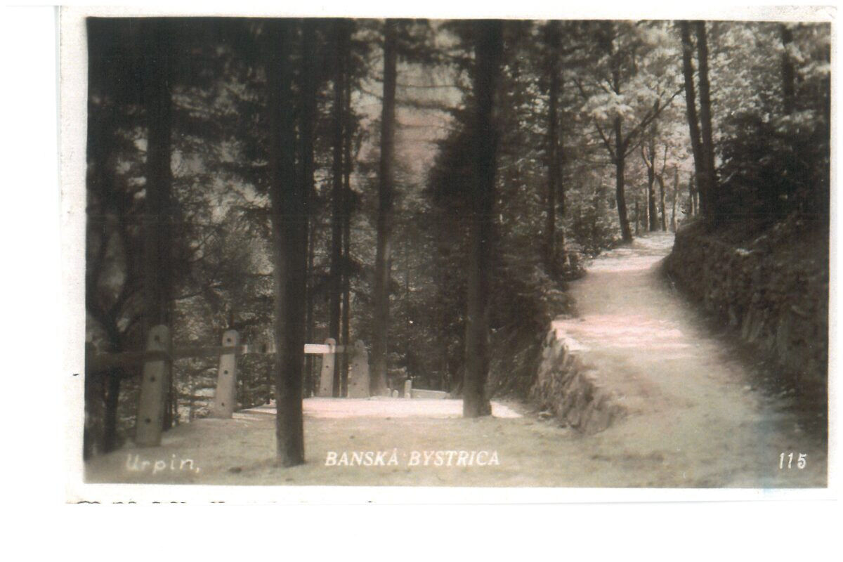 FOTO: V lokalite Urpínskych serpentín vznikne tančiareň , foto 11