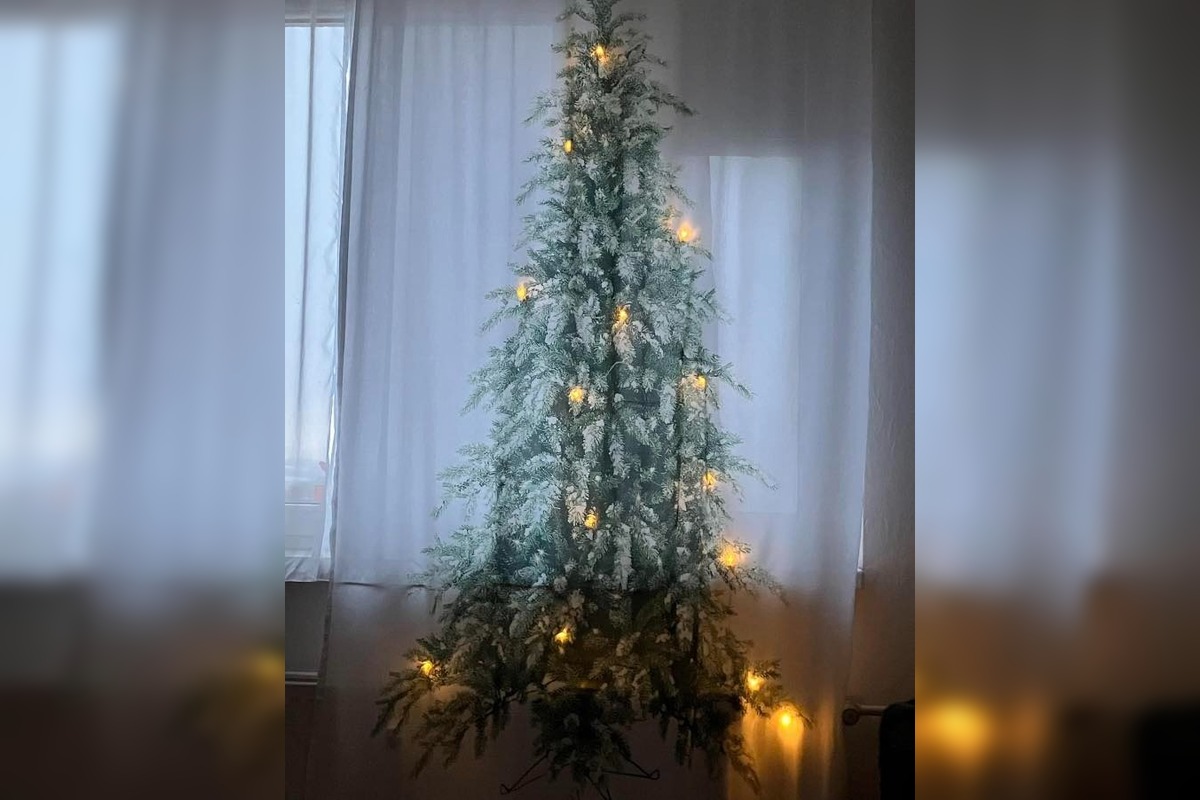 FOTO: Vianočný stromček vs. mačky, foto 2