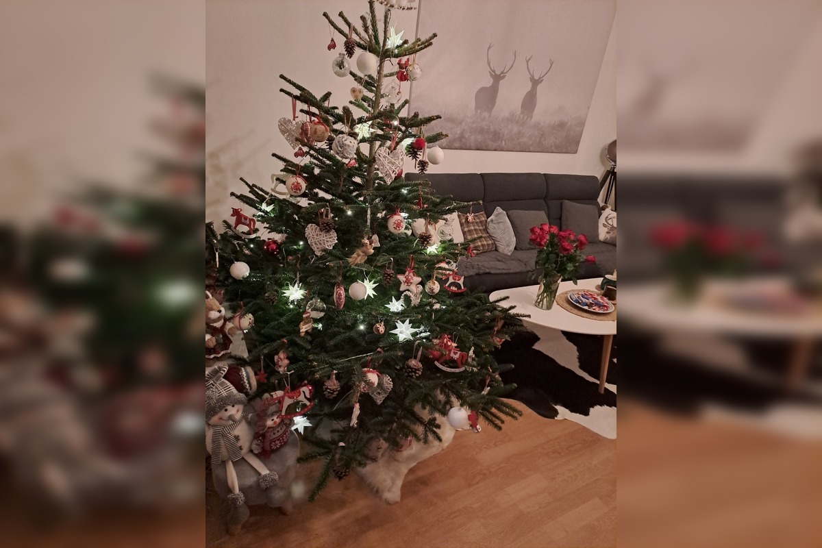 FOTO: Takto vyzerajú vianočné stromčeky našich čitateľov, foto 1