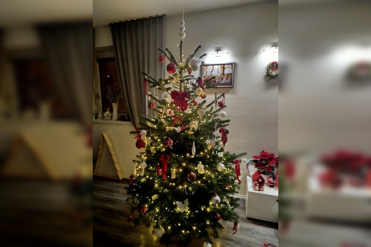 FOTO: Takto vyzerajú vianočné stromčeky našich čitateľov, foto 2