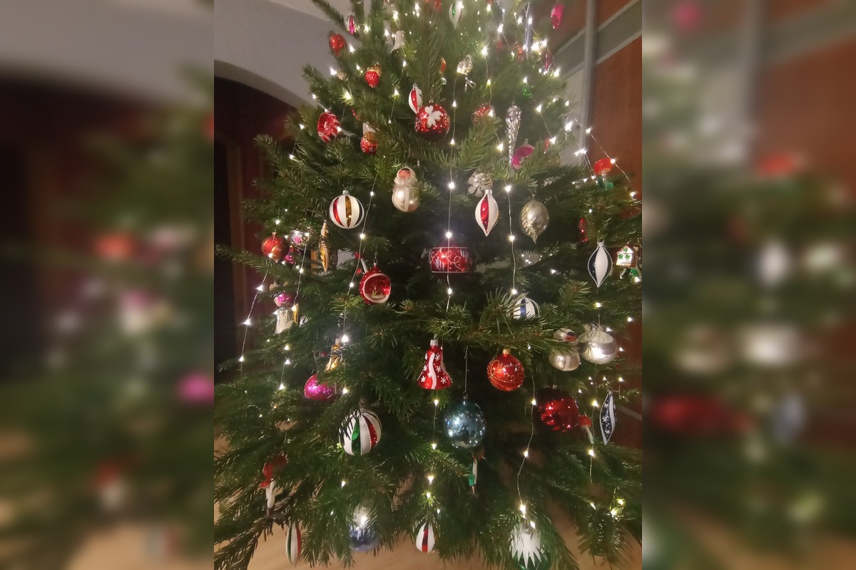 FOTO: Takto vyzerajú vianočné stromčeky našich čitateľov, foto 3