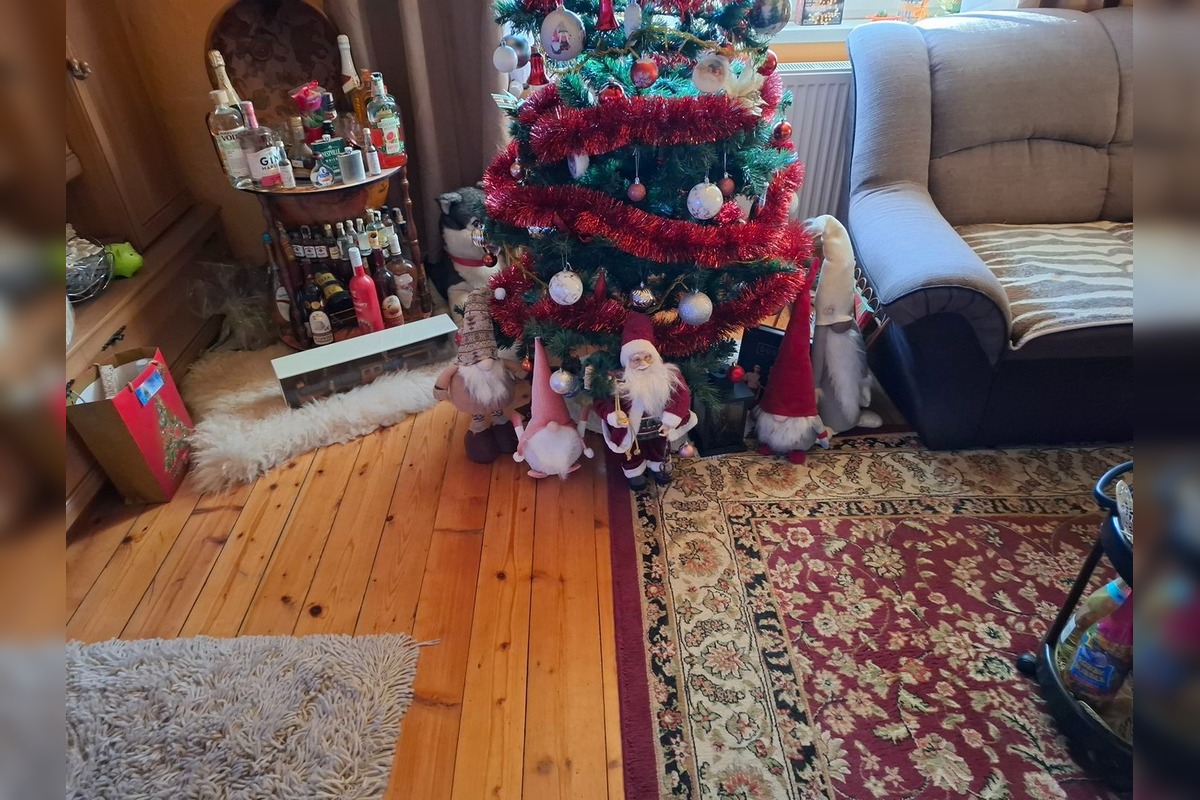 FOTO: Takto vyzerajú vianočné stromčeky našich čitateľov, foto 4