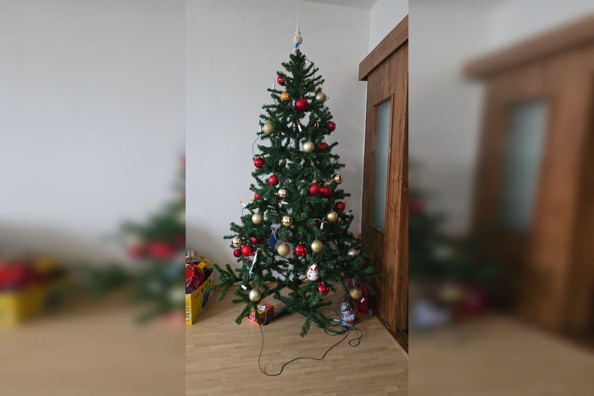 FOTO: Takto vyzerajú vianočné stromčeky našich čitateľov, foto 5