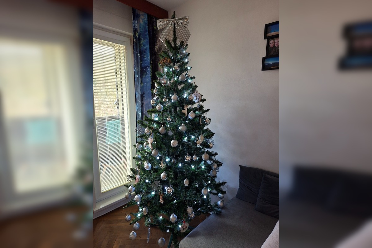 FOTO: Takto vyzerajú vianočné stromčeky našich čitateľov, foto 6