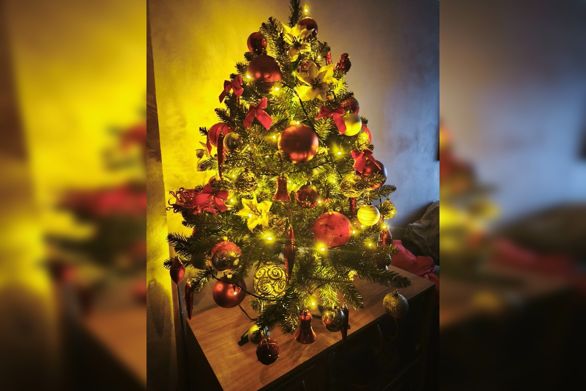 FOTO: Takto vyzerajú vianočné stromčeky našich čitateľov, foto 7