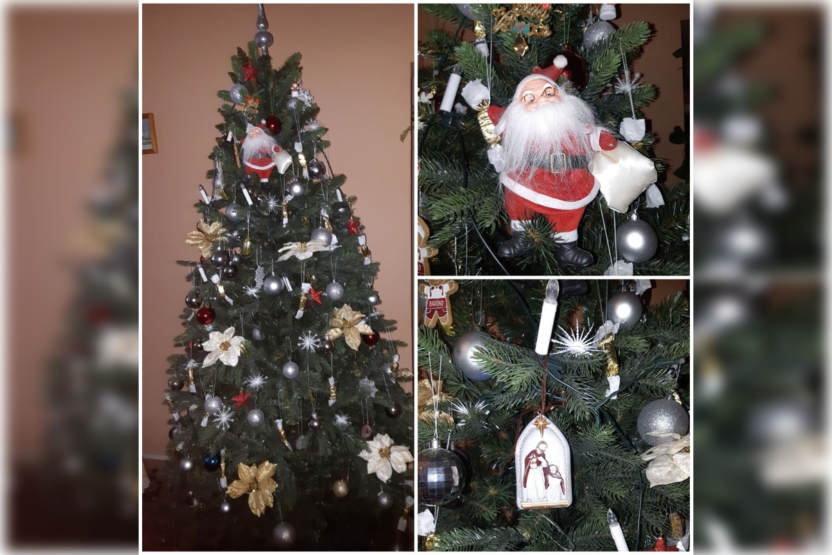 FOTO: Takto vyzerajú vianočné stromčeky našich čitateľov, foto 9