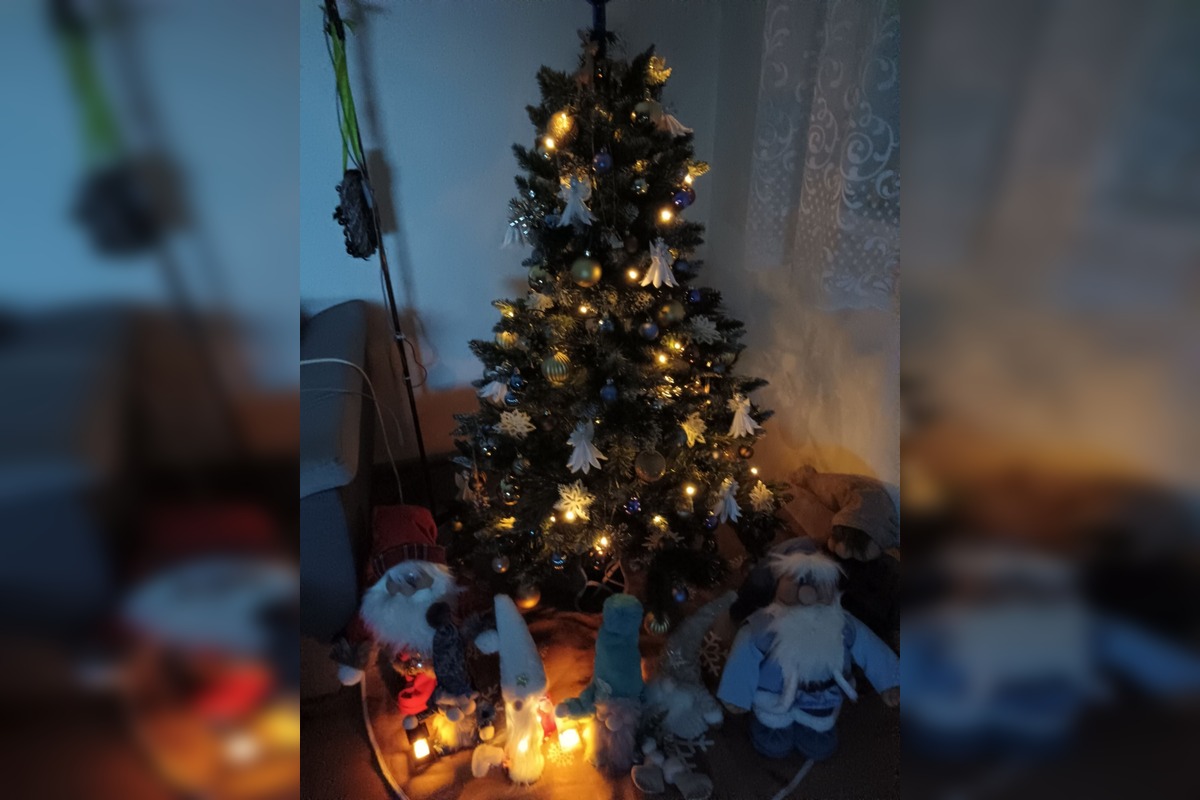FOTO: Takto vyzerajú vianočné stromčeky našich čitateľov, foto 10