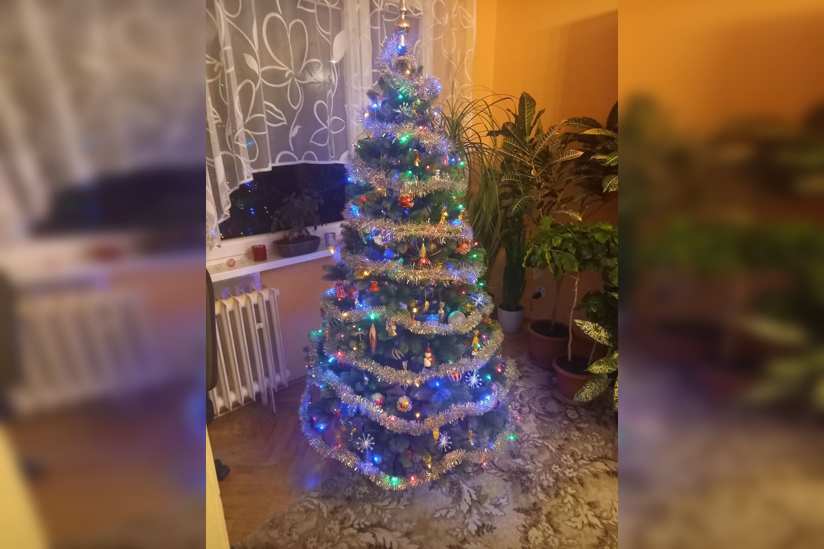 FOTO: Takto vyzerajú vianočné stromčeky našich čitateľov, foto 11