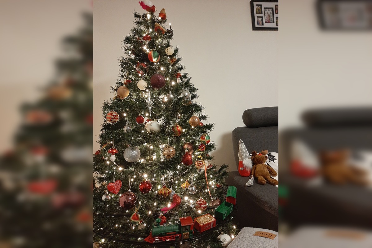 FOTO: Takto vyzerajú vianočné stromčeky našich čitateľov, foto 12