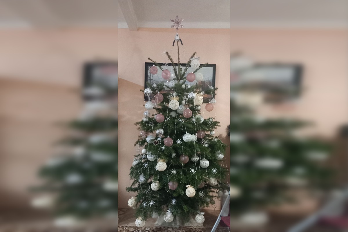 FOTO: Takto vyzerajú vianočné stromčeky našich čitateľov, foto 13