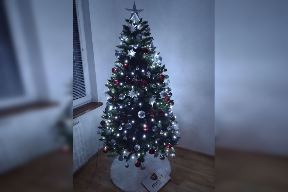 FOTO: Takto vyzerajú vianočné stromčeky našich čitateľov, foto 14