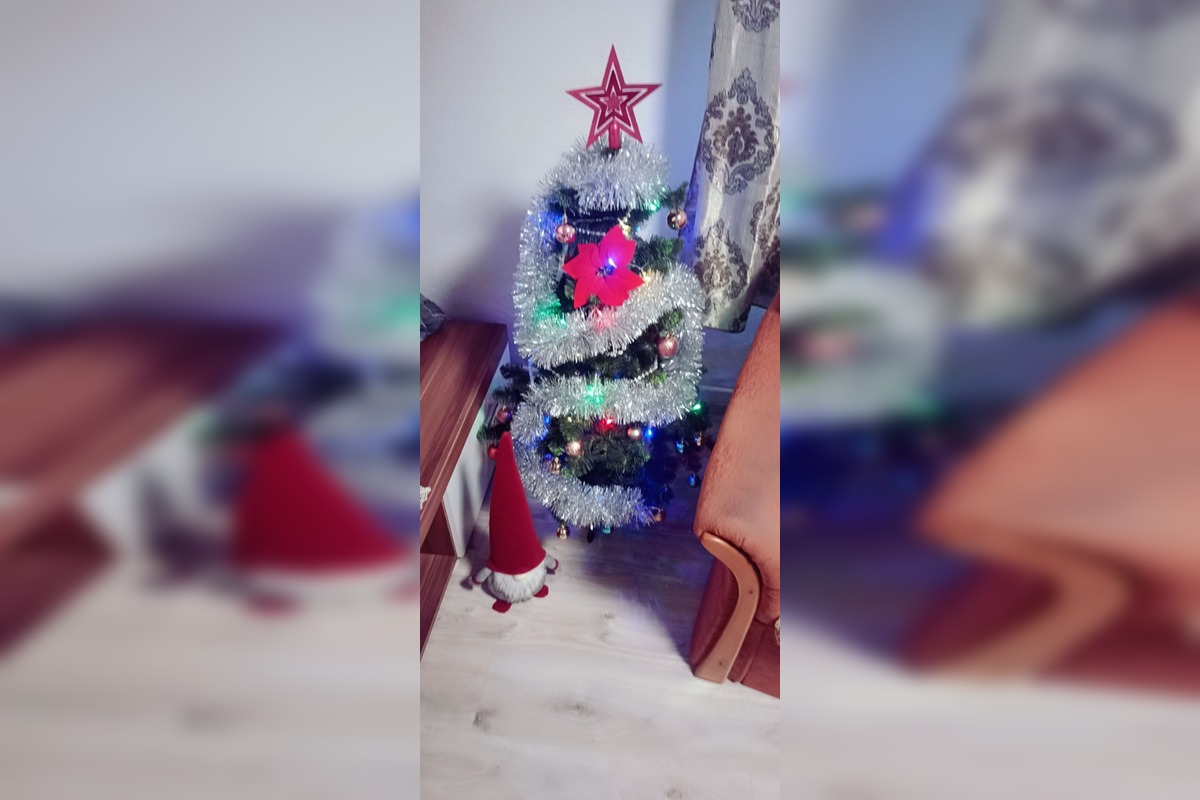 FOTO: Takto vyzerajú vianočné stromčeky našich čitateľov, foto 15