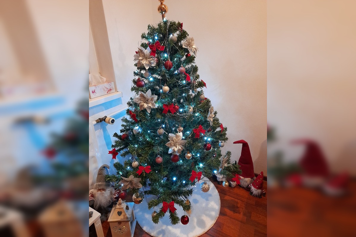 FOTO: Takto vyzerajú vianočné stromčeky našich čitateľov, foto 16